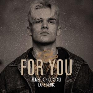 ดาวน์โหลดและฟังเพลง For You (feat. Nico Stadi) (Lars Remix) พร้อมเนื้อเพลงจาก ROZELL