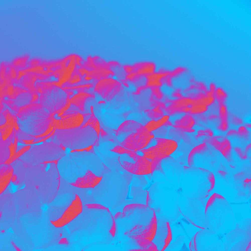 Scintillating Ambiance for Cinematic Tracks
