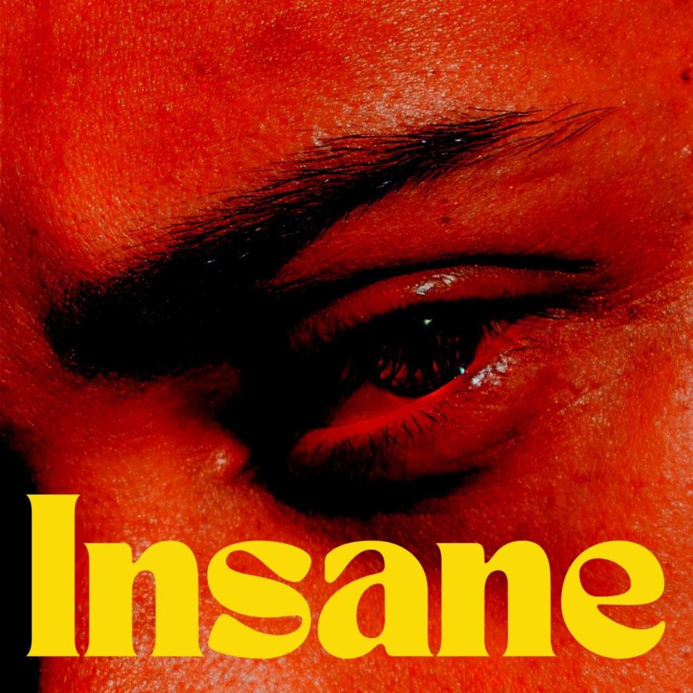 Insane (feat. Matteo Myderwyk & James Gillespie)
