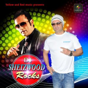 收聽DJ Sheizwood的Bewafaai (Male Vocals)歌詞歌曲