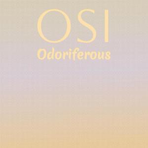 收聽Joney Maamer的Directive Yourselves歌詞歌曲