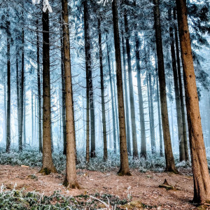 Dengarkan Atlas lagu dari Study Music & Sounds dengan lirik