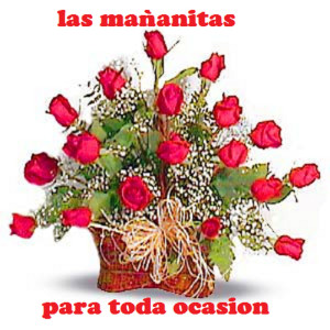 Listen to Las Mananitas song with lyrics from Las Mananitas