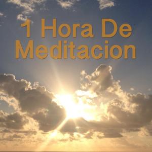 Album 1 Hora De Meditación from Meditación Interna