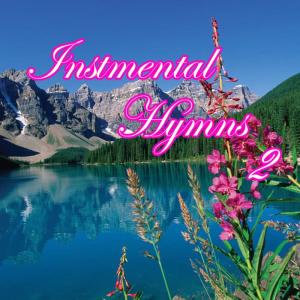 Twin Sisters Productions的專輯INSTR Hymns 2