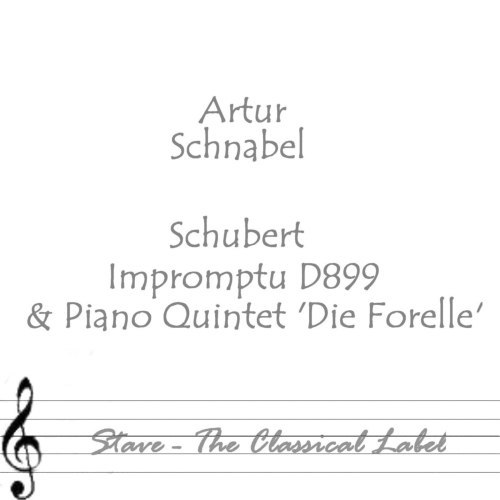 Schubert Impromptu D899 Op 90: No 1 In C Minor