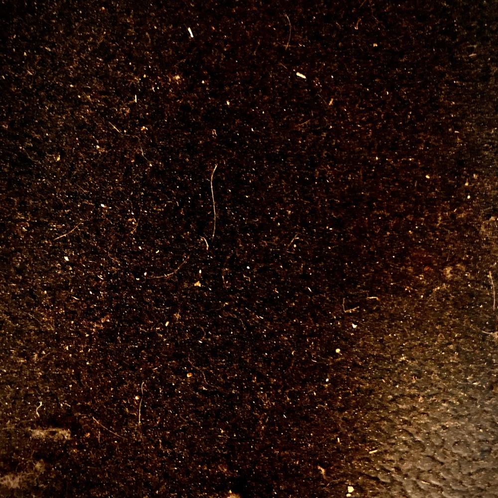 Dust