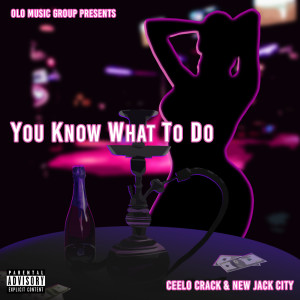 ดาวน์โหลดและฟังเพลง You Know What to Do (Explicit) พร้อมเนื้อเพลงจาก Ceelo Crack