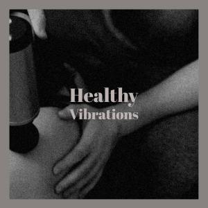 Listen to Healthy Vibrations song with lyrics from Misani Mundla