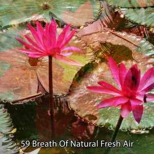 อัลบัม 59 Breath Of Natural Fresh Air ศิลปิน Sound Library XL