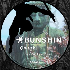 Listen to You Want Some Extra song with lyrics from Qwazki