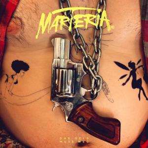 收聽Marteria的Das Geld muss weg歌詞歌曲