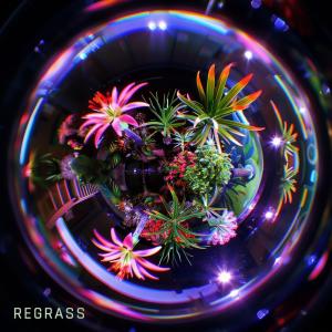 Essex的專輯Regrass