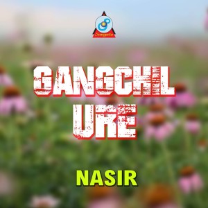 Listen to Gangchil Ure song with lyrics from Nasir