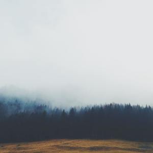 Dengarkan Calm Streams lagu dari Nature Sounds dengan lirik