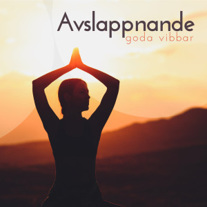 Listen to Andlig identitet song with lyrics from Avslappning Musik Akademi