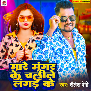 Listen to Mare Mangar Ke Chalile Langad Ke song with lyrics from Shailesh Premi