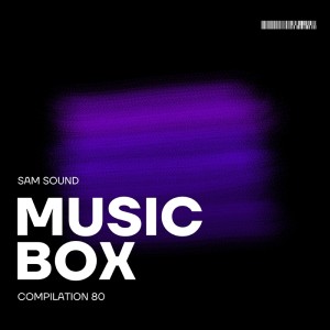 Various Artists的专辑Sam Sound P.t 80