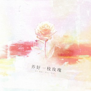 Listen to 养好一枝玫瑰（女声版） (完整版) song with lyrics from 雁娇