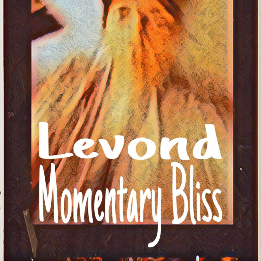 Momentary Bliss (Explicit)