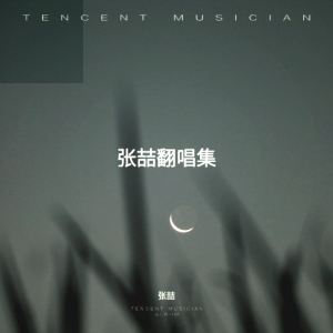 Listen to 笼 (cover: 张碧晨) (完整版) song with lyrics from 张喆