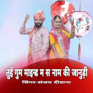 Listen to Tui Gum Maind M S Nam Ki Janudi song with lyrics from Sanjay Diwana