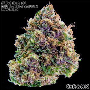 ดาวน์โหลดและฟังเพลง Hooked on Chronic (Explicit) พร้อมเนื้อเพลงจาก Steve Spiffler