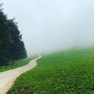 Listen to Fresh Start song with lyrics from Amazing Spa Music