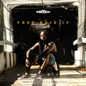 Listen to They Said It song with lyrics from Ace Hood