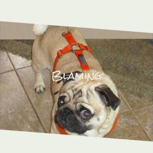 Listen to Lame song with lyrics from Renso