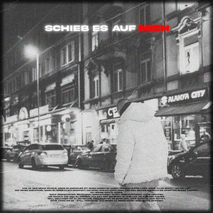 Listen to Schieb Es Auf Mich (Explicit) song with lyrics from Metropolä