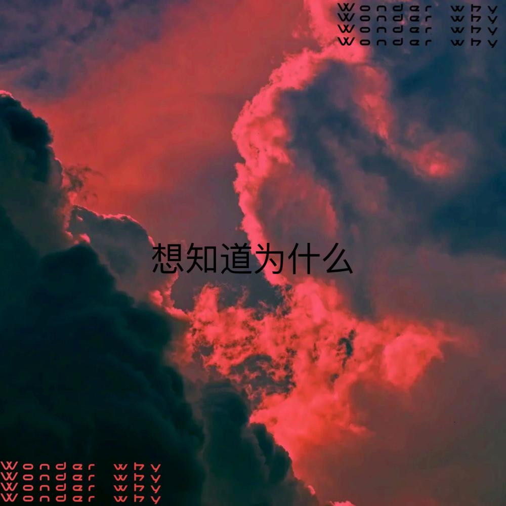 Wonder Why (feat. BMG $WAY) (Explicit)