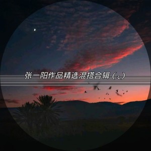 Listen to Song Xa Anh Chang De Dang (DJ版) song with lyrics from 张一阳