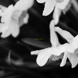 Album Sublime from Violence