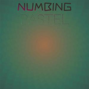 收听Rodel Seble的Numbing Pastel歌词歌曲