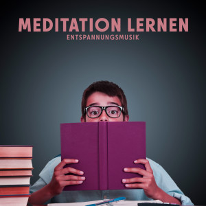 Listen to Lernraum (ruhige Hintergrundmusik) song with lyrics from Sanfte Entspannungsmusik Akademie