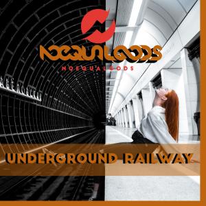 Noequalgods的專輯Underground Railway