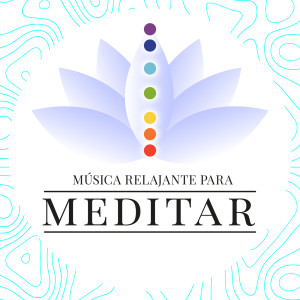 อัลบัม Música relajante para meditar ศิลปิน Various