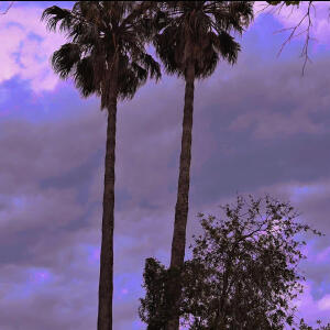 default playlist img