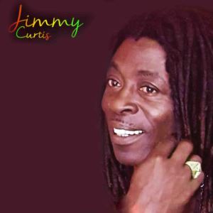 Listen to La raid du ciel song with lyrics from Jimmy Curtis