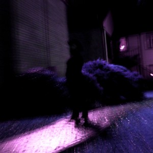 ดาวน์โหลดและฟังเพลง EMERGE (DISSONANT) (Explicit) พร้อมเนื้อเพลงจาก Neon BLK