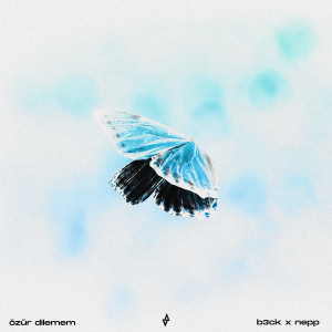 Listen to Özür Dilemem song with lyrics from B3ck