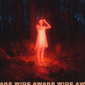 收听Petit Biscuit的Wide Awake歌词歌曲
