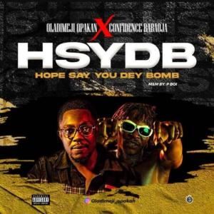 收聽Oladimeji Opakan的HSYDB (feat. Confidence)歌詞歌曲