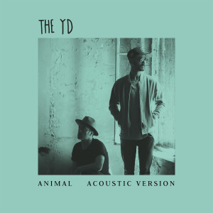 收聽The YD的Animal (Acoustic Version)歌詞歌曲
