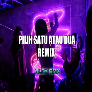Dengarkan lagu PILIH SATU ATAU DUA REMIX nyanyian ALDY RMX dengan lirik