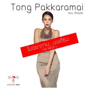 ดาวน์โหลดและฟังเพลง ไม่อยากจบบนเตียง (No Need) พร้อมเนื้อเพลงจาก ตอง ภัครมัย โปตระนันทน์