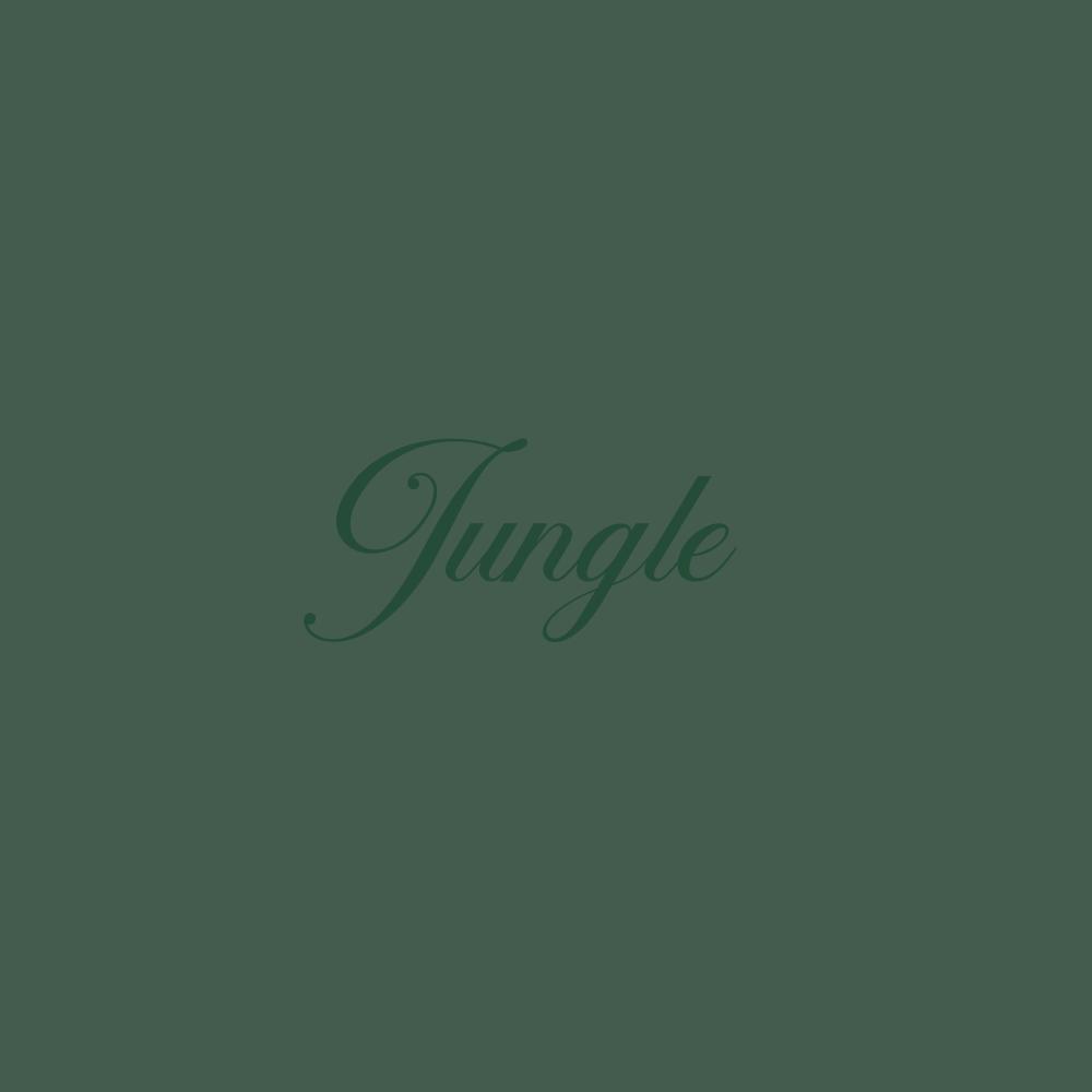 JUNGLE (Explicit)