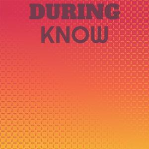 Listen to During Know song with lyrics from Daan Vinie