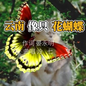 晏永明的專輯雲南是隻花蝴蝶